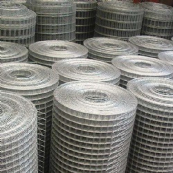 Galvanized Welded Wire Mesh